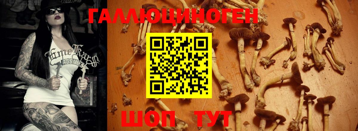 Череповец  Псилоцибиновые грибы GOLDEN TEACHER  Псилоцибиновые грибы Psilocybe  Вход с VPN 